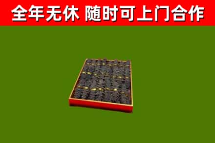 阿瓦提县回收海参